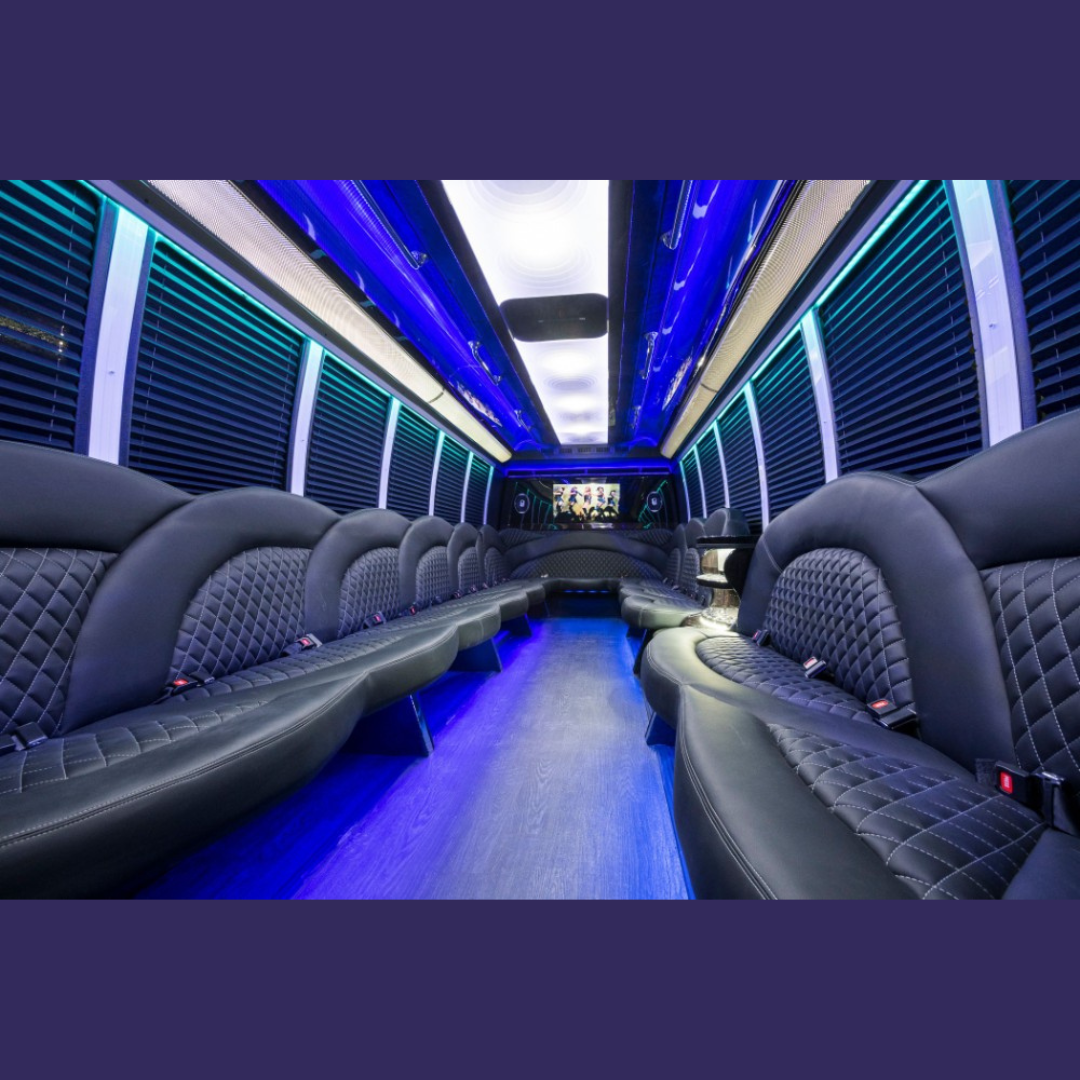 Party Bus Biloxi fleet photo 14